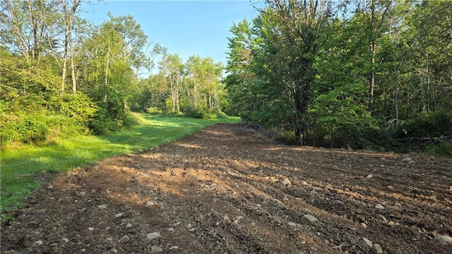 2984 Weirgor Rd, Exeland, WI 54835 - view of street featuring a wooded view