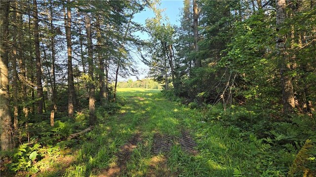2984 Weirgor Rd, Exeland, WI 54835 - view of nature