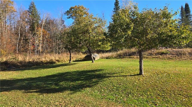 2984 Weirgor Rd, Exeland, WI 54835 - view of yard