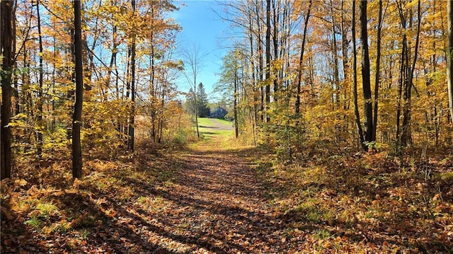 2984 Weirgor Rd, Exeland, WI 54835 - view of nature