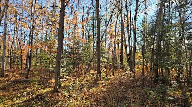 2984 Weirgor Rd, Exeland, WI 54835 - view of landscape with a forest view
