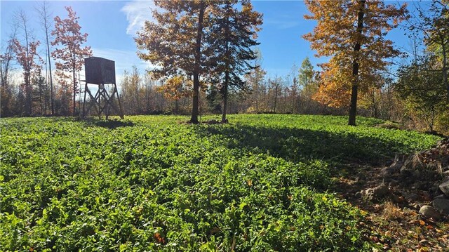 2984 Weirgor Rd, Exeland, WI 54835 - view of yard
