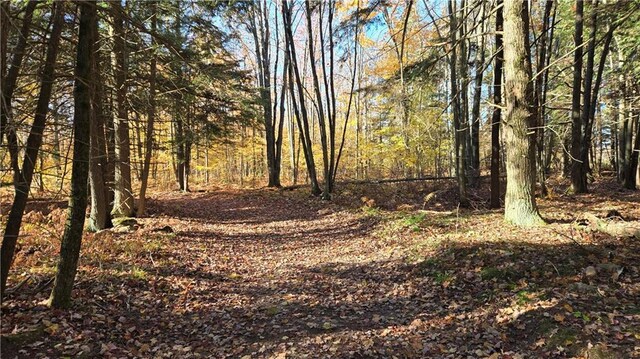 2984 Weirgor Rd, Exeland, WI 54835 - view of local wilderness featuring a view of trees