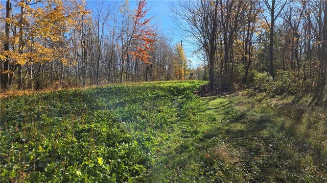 2984 Weirgor Rd, Exeland, WI 54835 - view of local wilderness featuring a view of trees