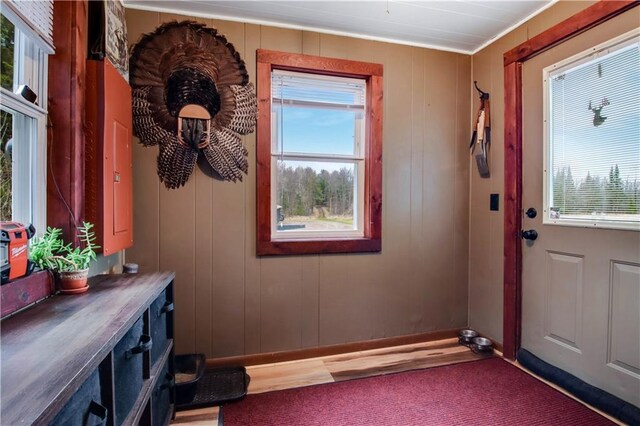 2984 Weirgor Rd, Exeland, WI 54835 - view of entryway
