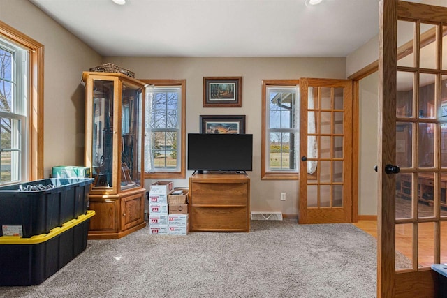 sitting room with visible vents and a wealth of natural light