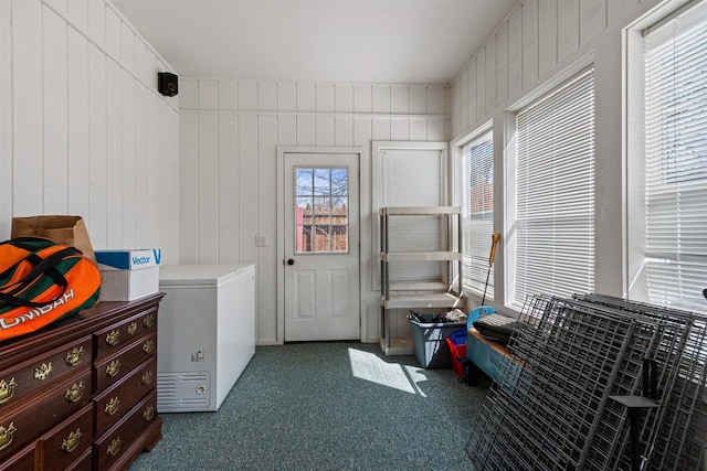 laundry area featuring carpet flooring