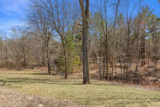 view of yard featuring a view of trees