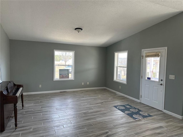 948 Wissota Green Pkwy, Chippewa Falls, WI 54729 - foyer entrance with a textured ceiling, wood finished floors, and a healthy amount of sunlight