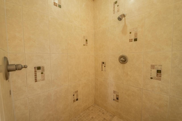 201 E Clearfield Ln, Appleton, WI 54913 - full bath featuring tiled shower