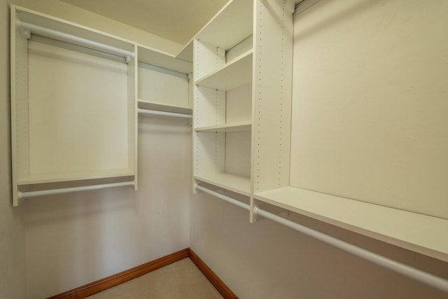 201 E Clearfield Ln, Appleton, WI 54913 - view of walk in closet