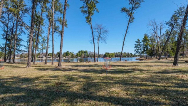 317 Darby Ct, Nekoosa, WI 54457 - view of yard featuring a water view