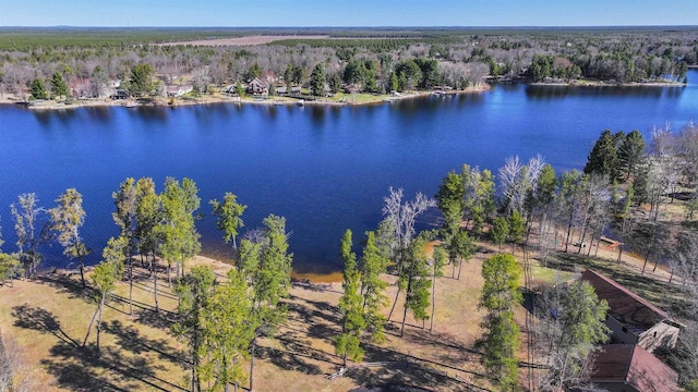 317 Darby Ct, Nekoosa, WI 54457 - birds eye view of property with a view of trees and a water view