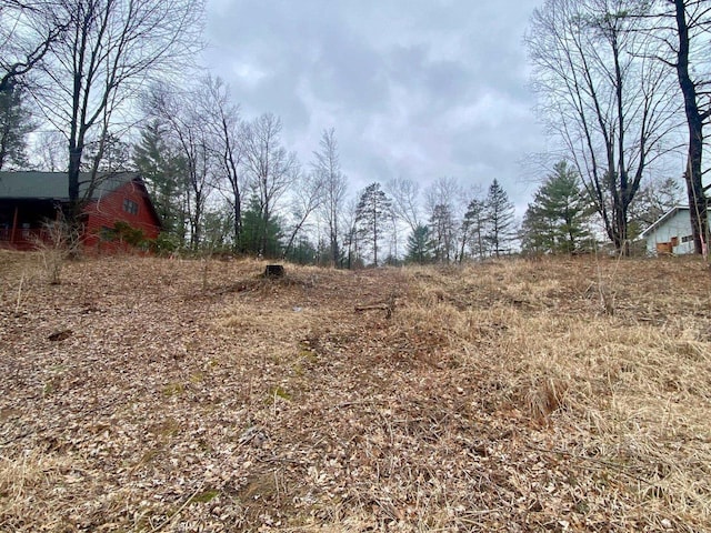 N1220 Otter Ponds Ln, Keshena, WI 54135 - view of nature
