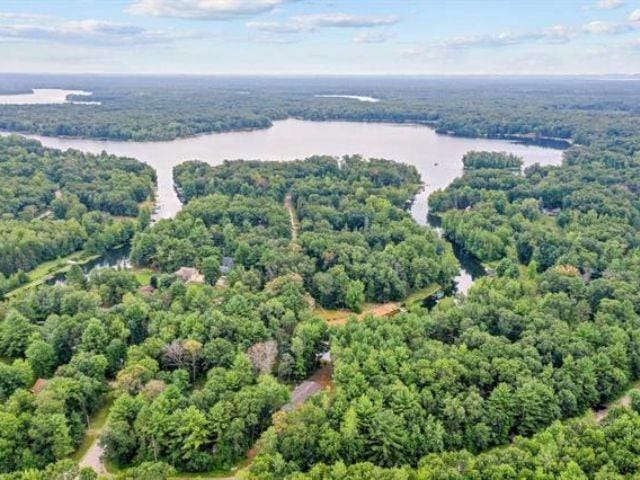 N1220 Otter Ponds Ln, Keshena, WI 54135 - aerial view of a forest and a large body of water