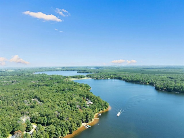 N1220 Otter Ponds Ln, Keshena, WI 54135 - aerial view of a forest and a large body of water