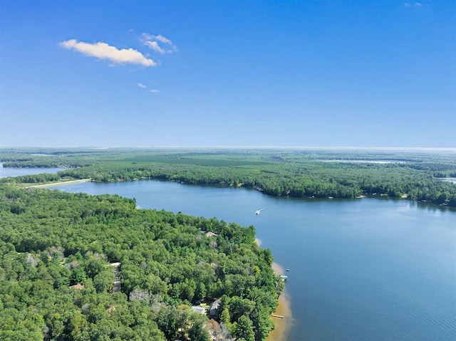 N1220 Otter Ponds Ln, Keshena, WI 54135 - aerial view of a heavily wooded area and a nearby body of water