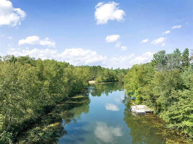 N1220 Otter Ponds Ln, Keshena, WI 54135 - water view with a forest and a floating dock