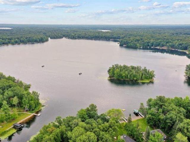 N1220 Otter Ponds Ln, Keshena, WI 54135 - aerial view of a nearby body of water and a heavily wooded area