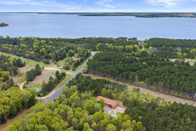 1686 Archer Ave, Nekoosa, WI 54457 - aerial view of property's location with a nearby body of water and a heavily wooded area