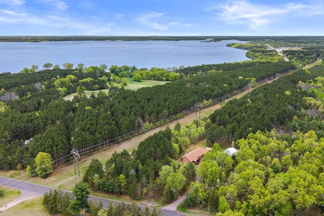 1686 Archer Ave, Nekoosa, WI 54457 - drone / aerial view of a nearby body of water and a forest