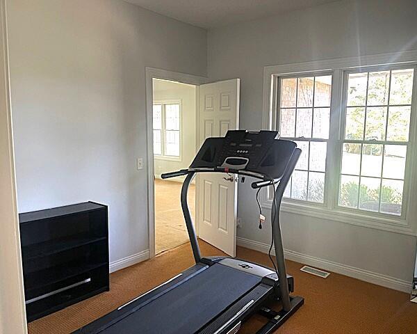 exercise area featuring baseboards, carpet floors, visible vents, and a wealth of natural light
