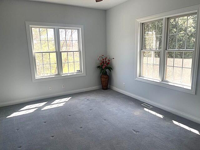 carpeted spare room featuring visible vents, plenty of natural light, and baseboards