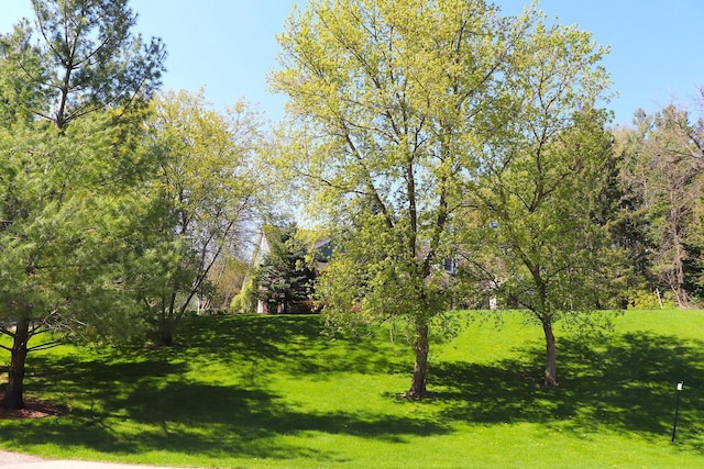 2917 Bridlepath Ct, Lake Geneva, WI 53147 - view of green lawn
