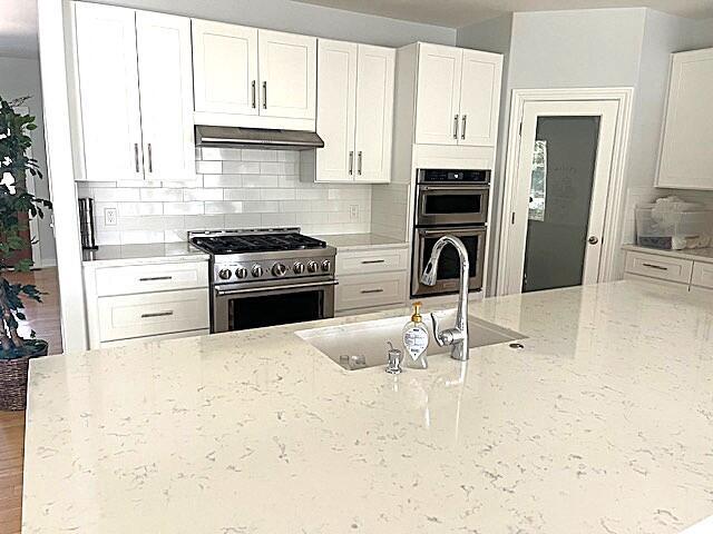 kitchen featuring light stone counters, a sink, decorative backsplash, stainless steel appliances, and under cabinet range hood