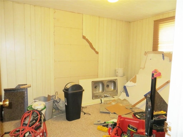 playroom featuring wooden walls