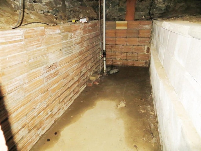 basement featuring wooden walls