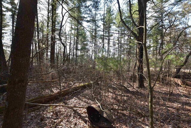 Woodhaven Cir, Wautoma, WI 54982