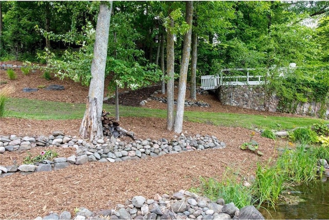 1211 172nd Ave, Balsam Lake, WI 54810 - view of yard