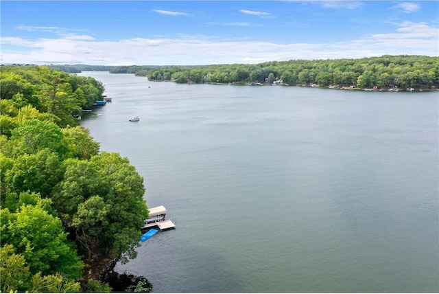 1211 172nd Ave, Balsam Lake, WI 54810 - water view featuring a forest