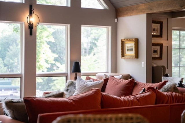1211 172nd Ave, Balsam Lake, WI 54810 - living area with vaulted ceiling
