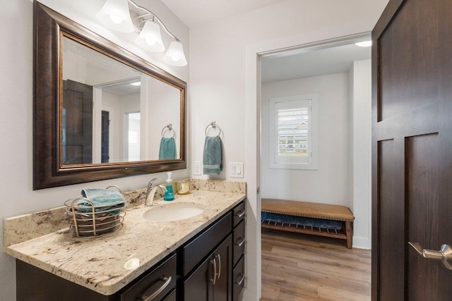 bathroom featuring wood finished floors and vanity