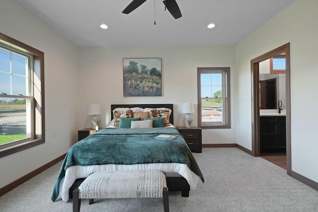 8437 Creek View Ln, Mount Pleasant, WI 53406 - bedroom with light colored carpet, baseboards, and multiple windows