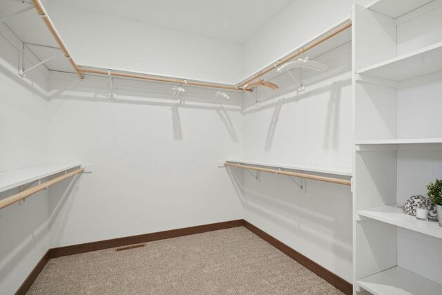 8437 Creek View Ln, Mount Pleasant, WI 53406 - walk in closet featuring visible vents and carpet