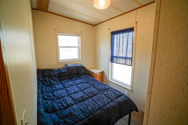 562 Feather Trl, Nekoosa, WI 54457 - carpeted bedroom with lofted ceiling and ornamental molding