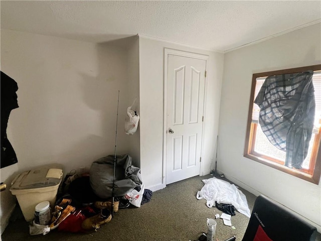 unfurnished bedroom featuring carpet, a textured ceiling, and ornamental molding