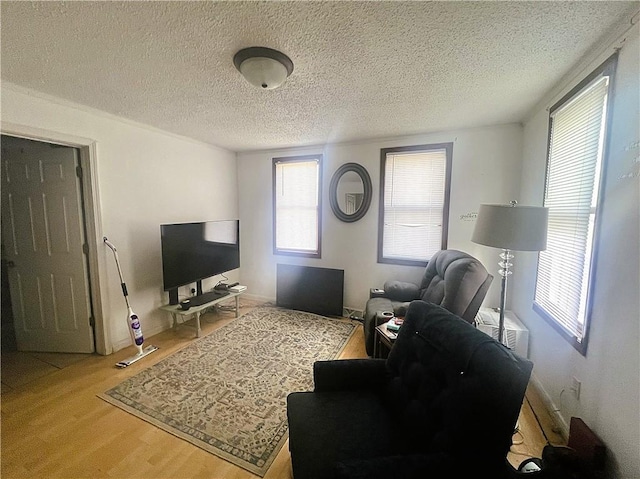 living area featuring wood finished floors and a textured ceiling