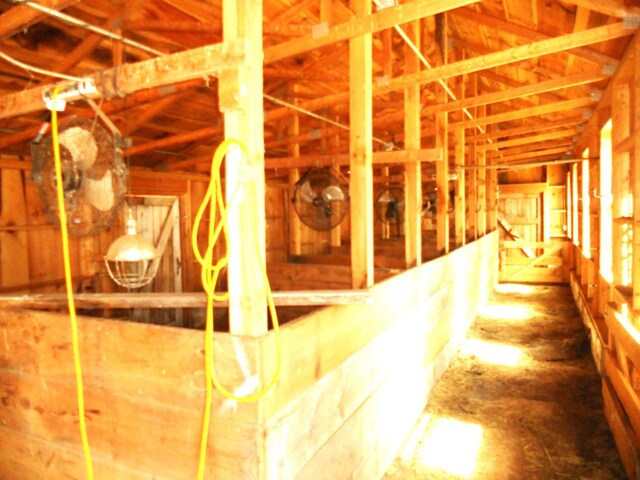 view of stable