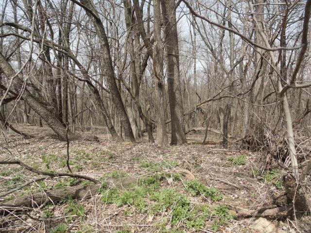 5ACRES Whispering Bluffs Ln, Cassville, WI 53806