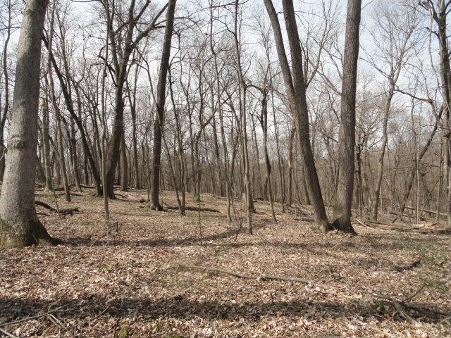 5ACRES Whispering Bluffs Ln, Cassville, WI 53806