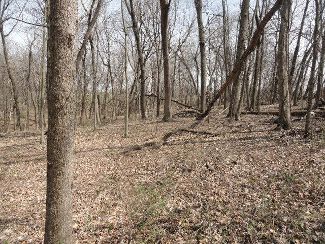 5ACRES Whispering Bluffs Ln, Cassville, WI 53806