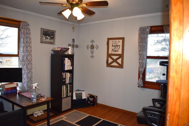 71435 Range Line Rd, Iron River, WI 54847 - home office with ceiling fan, baseboards, ornamental molding, and wood finished floors
