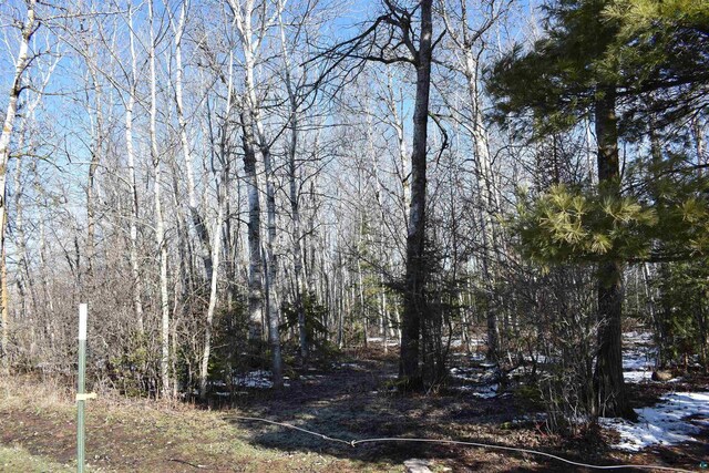 71435 Range Line Rd, Iron River, WI 54847 - view of local wilderness