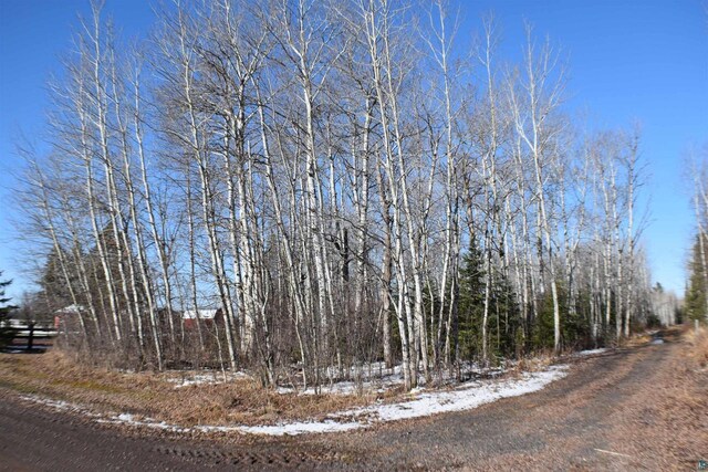 71435 Range Line Rd, Iron River, WI 54847 - view of snowy view