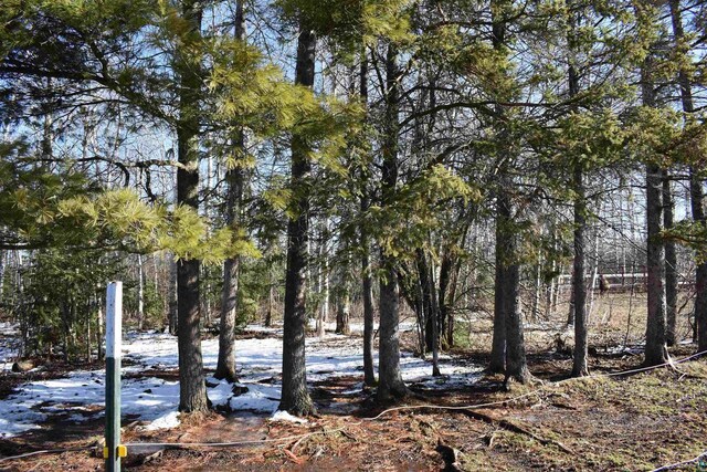 71435 Range Line Rd, Iron River, WI 54847 - view of local wilderness