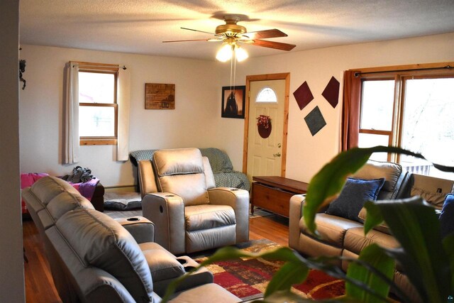 71435 Range Line Rd, Iron River, WI 54847 - living room with a ceiling fan and wood finished floors